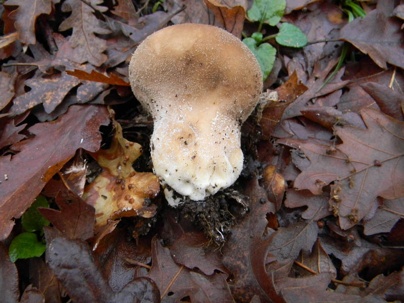 Alcuni ritrovamenti del 21.12.2010.